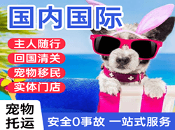 莫高航空快递国际宠物托运 【国